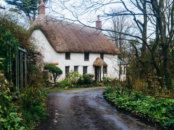white and brown house near trees