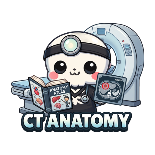 CT Anatomy